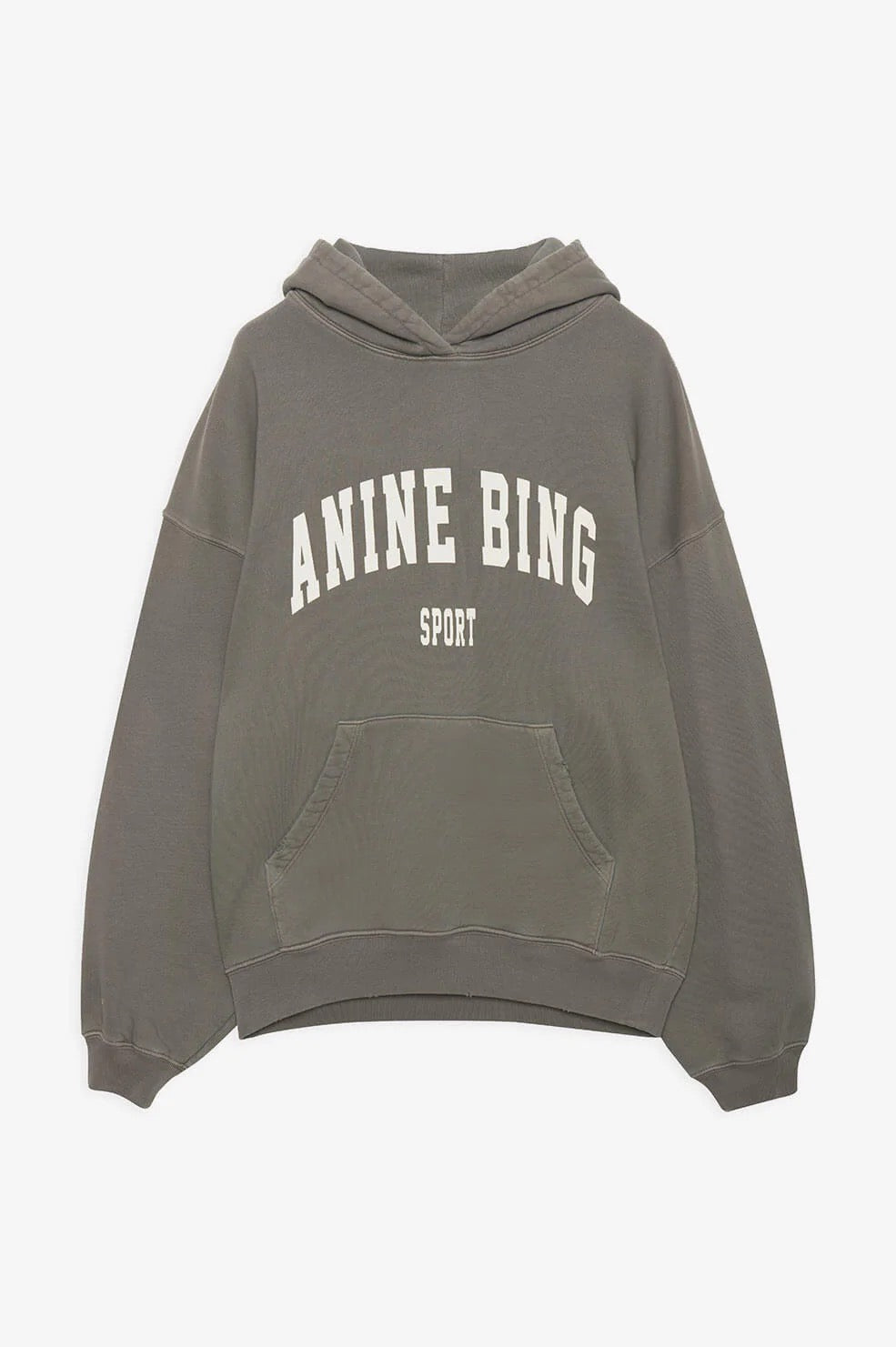 Anine bing popular sweatshirt